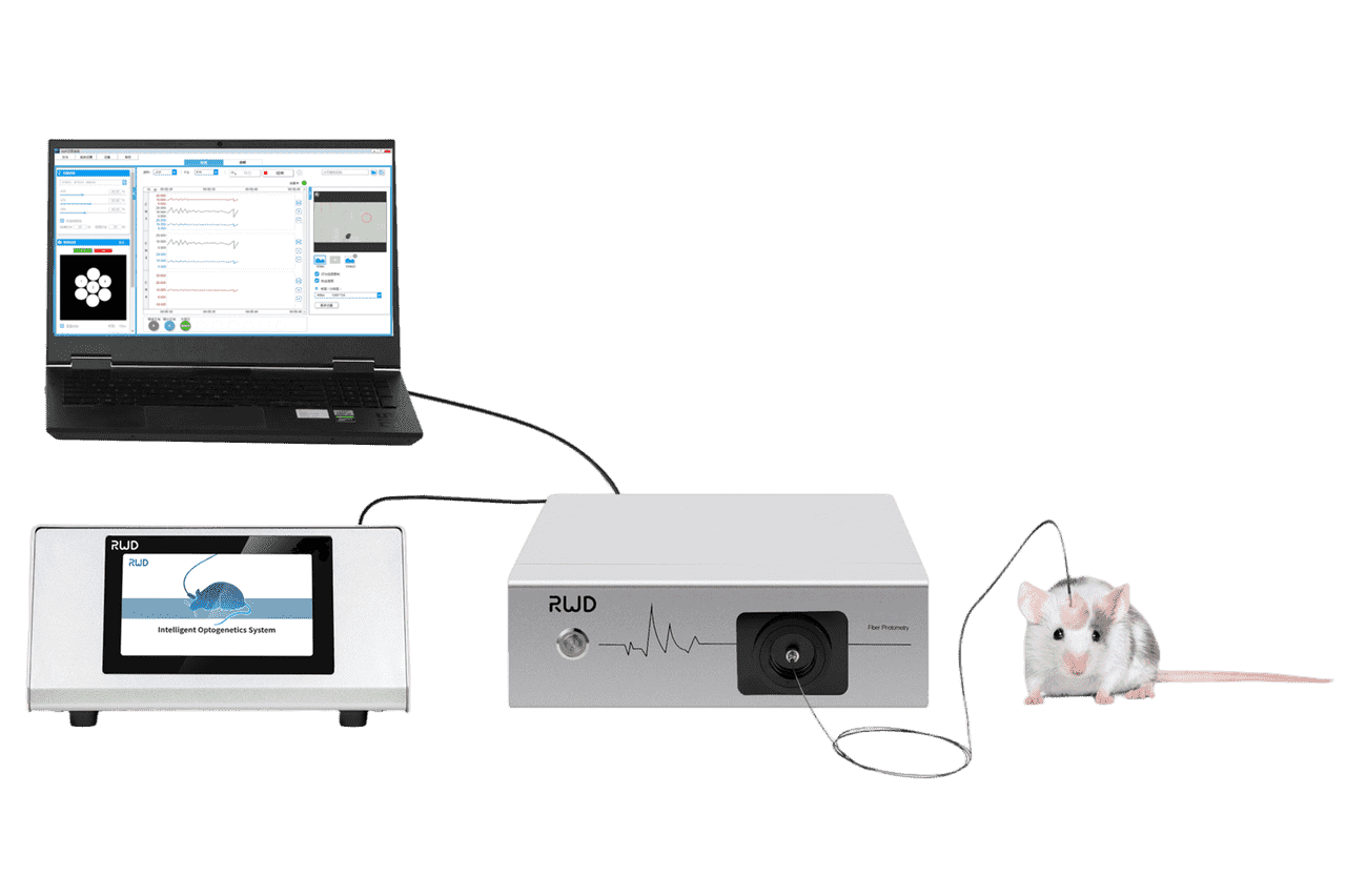 R821/FR-21Tricolor Multichannel Fiber Photometry System - RWD Life