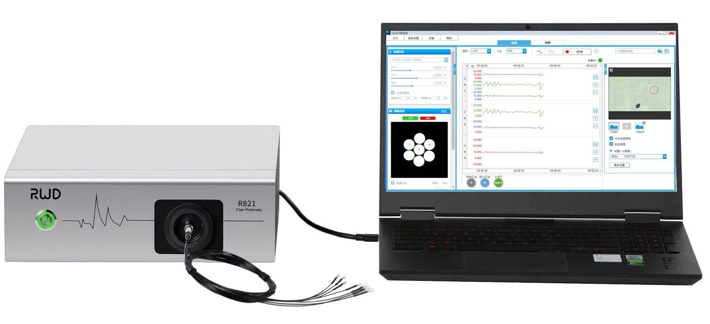 R821/FR-21Tricolor Multichannel Fiber Photometry System - RWD Life